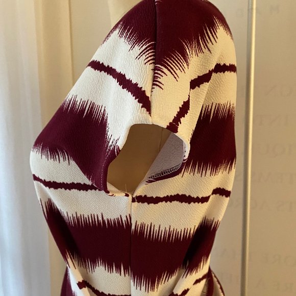 NWOT Willowmore Asymmetrical Burgundy and White Striped Dress - Picture 10 of 16